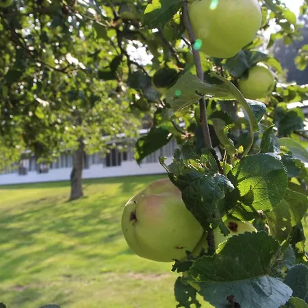 Semesterbostad 2 Person In